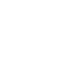 Leaver's design 1