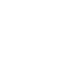 Leaver's design 1