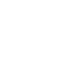 Leaver's design 3