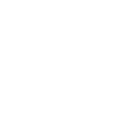 Leaver's design 3