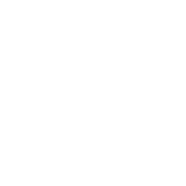 Leaver's design 4