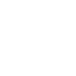 Leaver's design 4