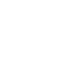 Leaver's design 5