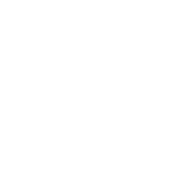 Leaver's design 5