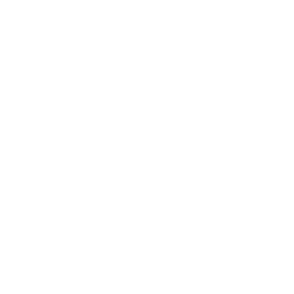 Leaver's design 8